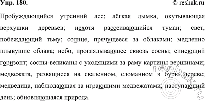 Изображение 1. Рассмотрите репродукцию одной из самых известных картин Ивана Ивановича Шишкина «Утро в сосновом лесу» (1889). Почему она невольно притягивает взгляд и никого не...